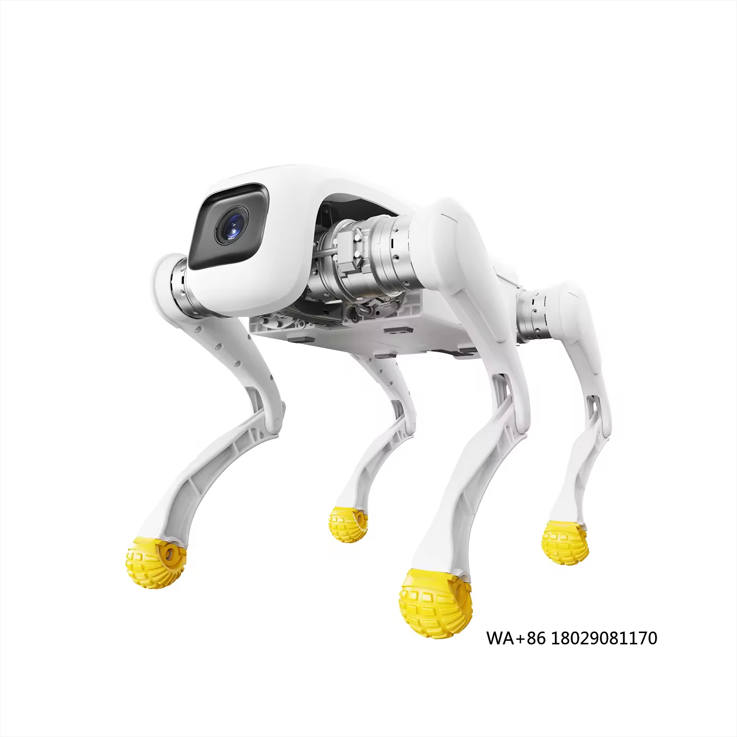 Electronics & Gadgets Beginning With D - Design Dog Robot AI Electronic Robotic